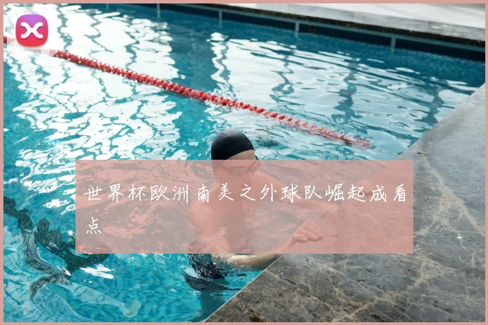 世界杯欧洲南美之外球队崛起成看点